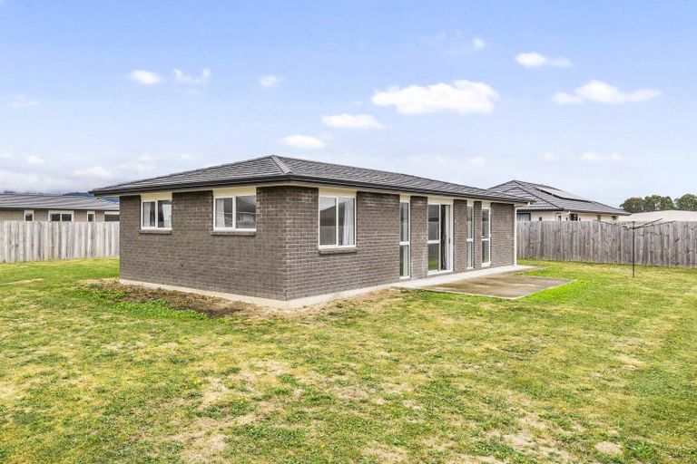 Photo of property in 92 Hinemoa Street, Levin, 5510