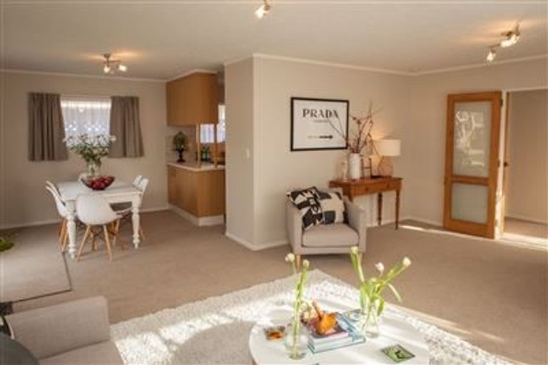 Photo of property in 19 Moxham Avenue, Hataitai, Wellington, 6021