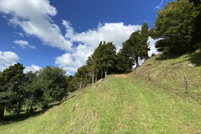 Photo of property in 146 Horeke Road, Okaihau, 0475