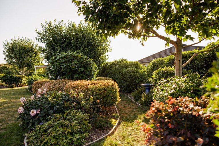 Photo of property in 45 Alan Livingston Drive, Cambridge, 3434