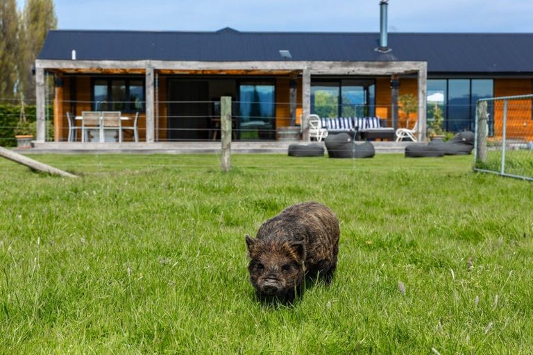 Photo of property in 82a David Street, Yelverton, Blenheim, 7201