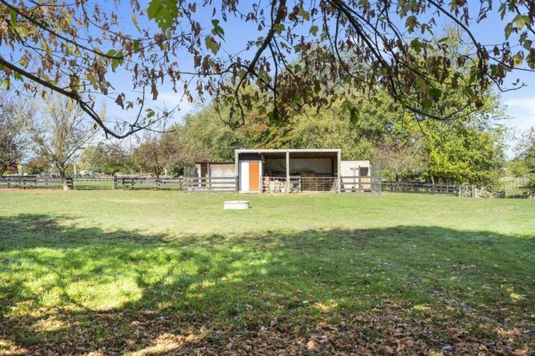 Photo of property in 66 Mill Road, Ohaupo, 3881