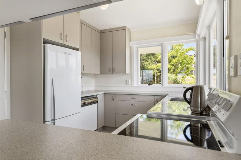 Photo of property in 13 Windsor Place, Windsor Park, Auckland, 0630