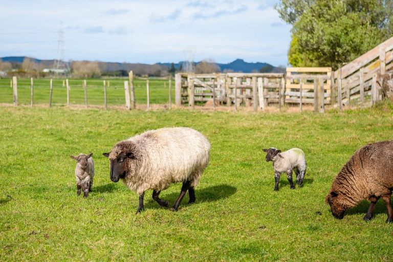 Photo of property in 186b Holland Road, Puketaha, Hamilton, 3286