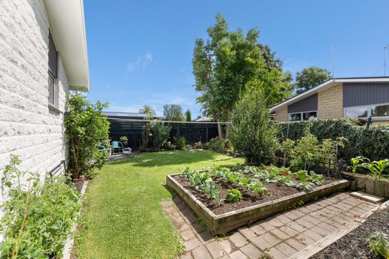 Photo of property in 161 Budge Street, Riversdale, Blenheim, 7201