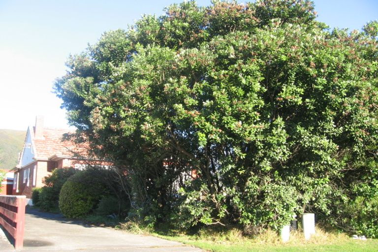 Photo of property in 78 Cambridge Terrace, Waterloo, Lower Hutt, 5011