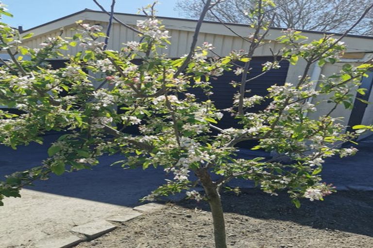 Photo of property in 43 Farrington Avenue, Bishopdale, Christchurch, 8053