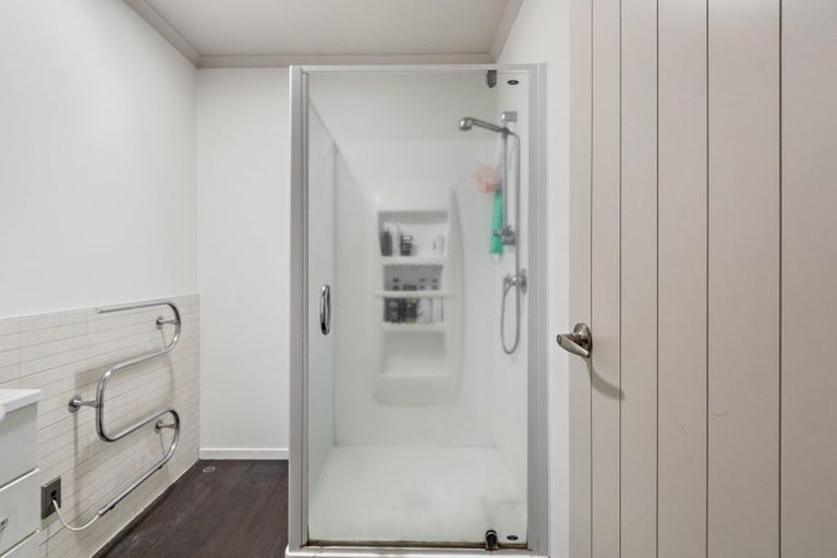 Photo of property in 54b Willoughby Street, Whitiora, Hamilton, 3200