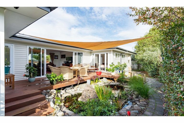 Photo of property in 313 Molesworth Drive, Mangawhai Heads, Mangawhai, 0505
