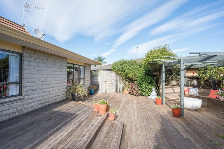 Photo of property in 93b Halifax Street East, The Wood, Nelson, 7010