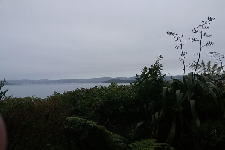 Photo of property in 319 Marine Dr York Bay, York Bay, Lower Hutt, 5013