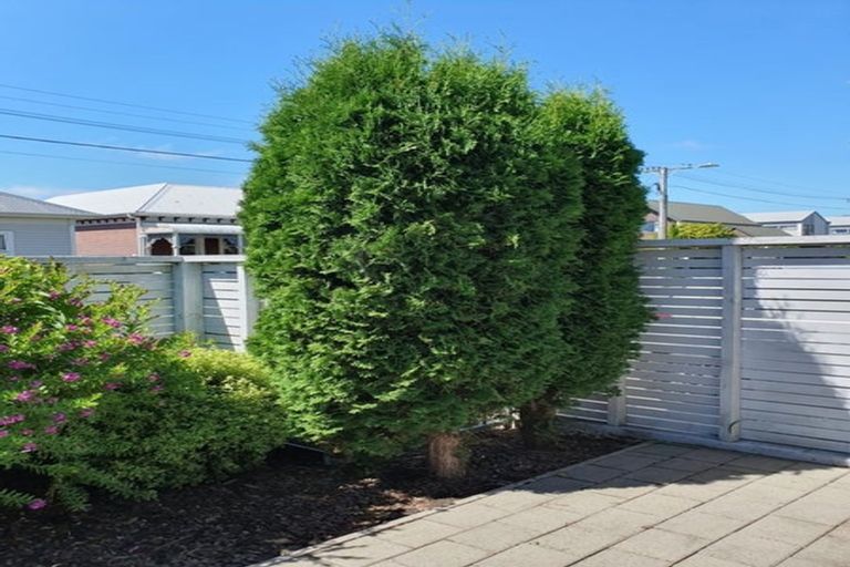 Photo of property in 31 Cotterill Street, Addington, Christchurch, 8024