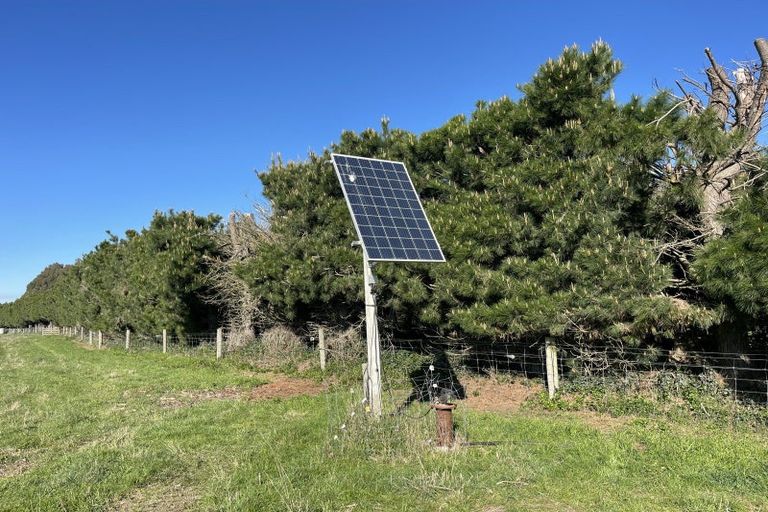 Photo of property in 186 Mcintoshs Road, Fernside, Rangiora, 7471
