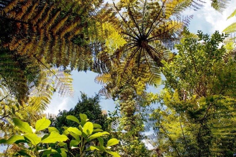 Photo of property in 9 Devon Street, Greymouth, 7805