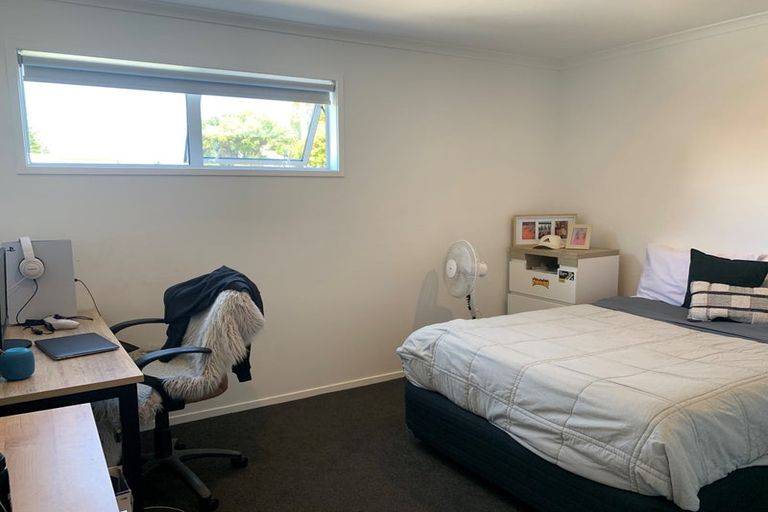 Photo of property in 291 Molesworth Drive, Mangawhai Heads, Mangawhai, 0505