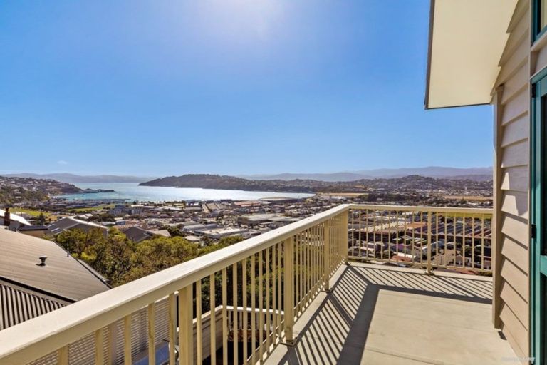 Photo of property in 42 Lerwick Terrace, Melrose, Wellington, 6023