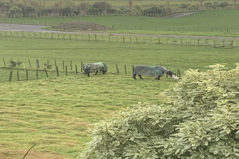 Photo of property in 6 Grace Street North, Sanson, 4817