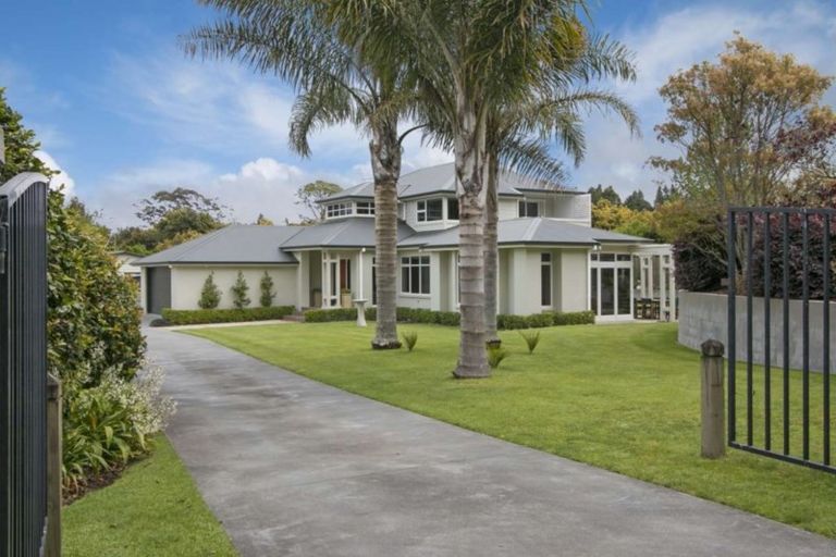Photo of property in 313 Plummers Point Road, Whakamarama, Tauranga, 3172