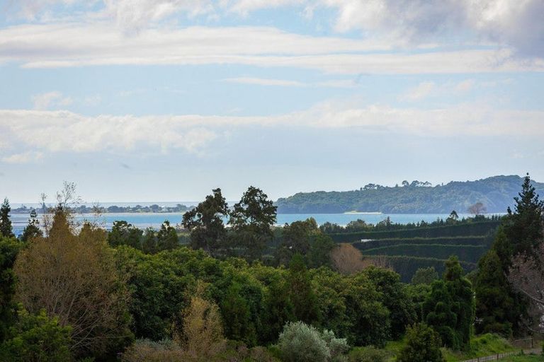 Photo of property in 24 Martray Road, Tahawai, Katikati, 3170