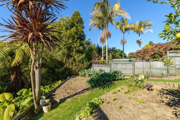 Photo of property in 92 Bethlehem Heights, Bethlehem, Tauranga, 3110