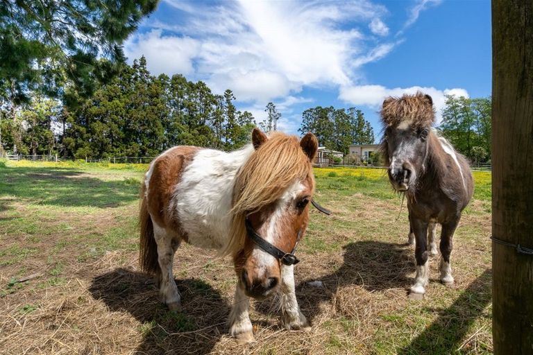 Photo of property in 1021 Old North Road, Waimauku, 0882