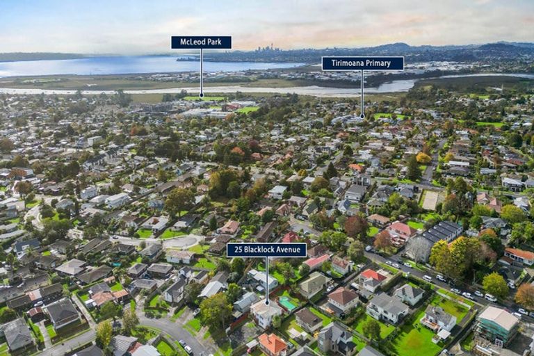 Photo of property in 25 Blacklock Avenue, Henderson, Auckland, 0612