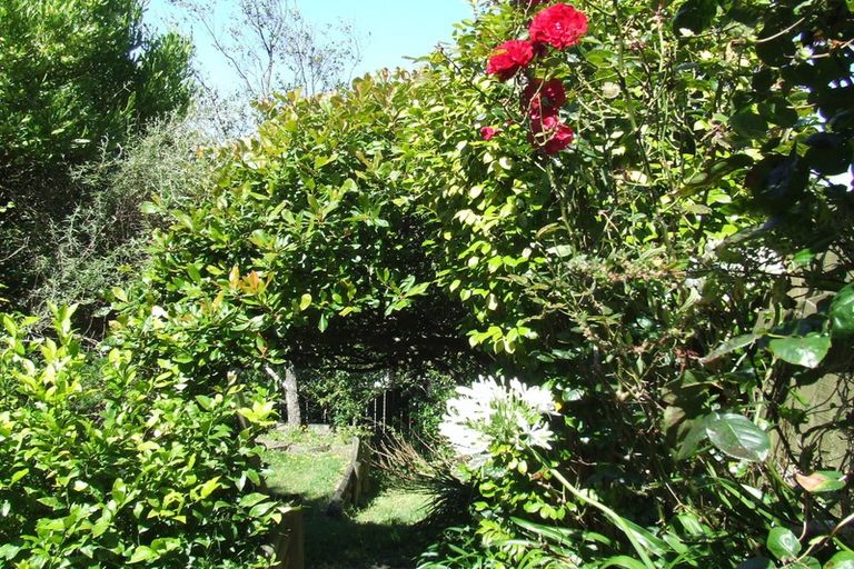 Photo of property in 46 Halifax Street, Kingston, Wellington, 6021