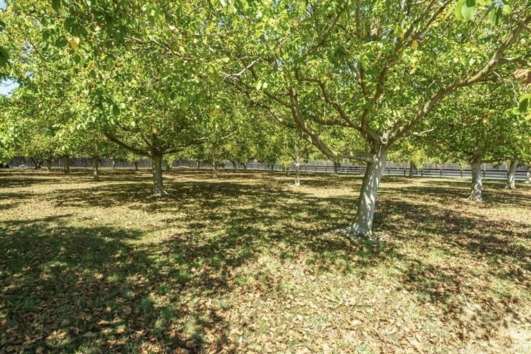 Photo of property in 158 Cullen Avenue, Swannanoa, Rangiora, 7475