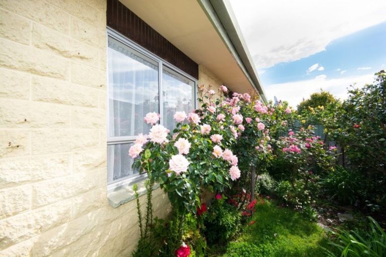 Photo of property in 12a Burleigh Road, Redwoodtown, Blenheim, 7201