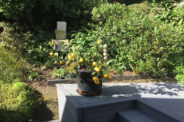 Photo of property in 181 Melbourne Road, Island Bay, Wellington, 6023