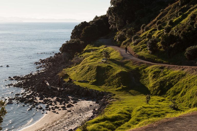 Photo of property in 201/16 Adams Avenue, Mount Maunganui, 3116