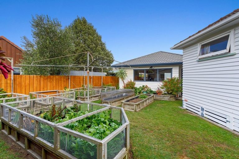 Photo of property in 17 Stewart Street, Whakatane, 3120