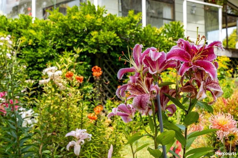 Photo of property in 146 Eden Road, Tasman, Upper Moutere, 7175