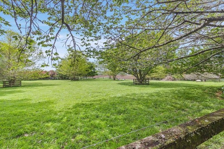 Photo of property in 569 Arapuni Road, Kihikihi, Te Awamutu, 3872