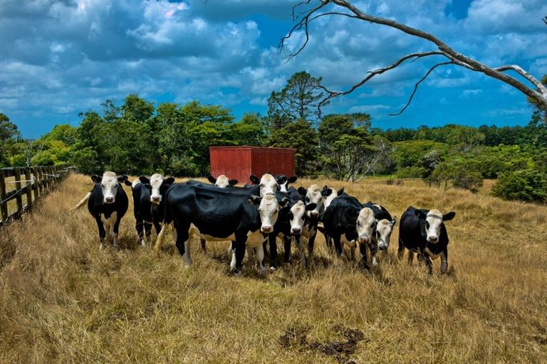 Photo of property in 11 Tawa Road, Kumeu, 0891