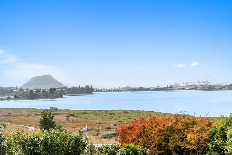 Photo of property in 20b Montgomery Road, Judea, Tauranga, 3110