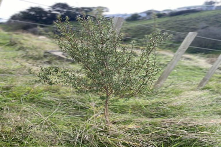 Photo of property in 36 Burtts Road, Durie Hill, Whanganui, 4500