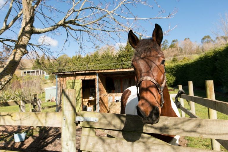 Photo of property in 87b Ongaonga Road, Waipawa, 4272