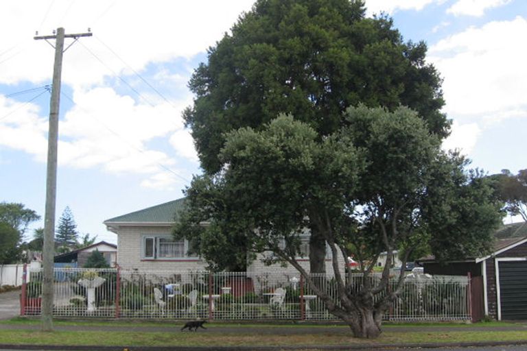 Photo of property in 43 Hutton Street, Otahuhu, Auckland, 1062