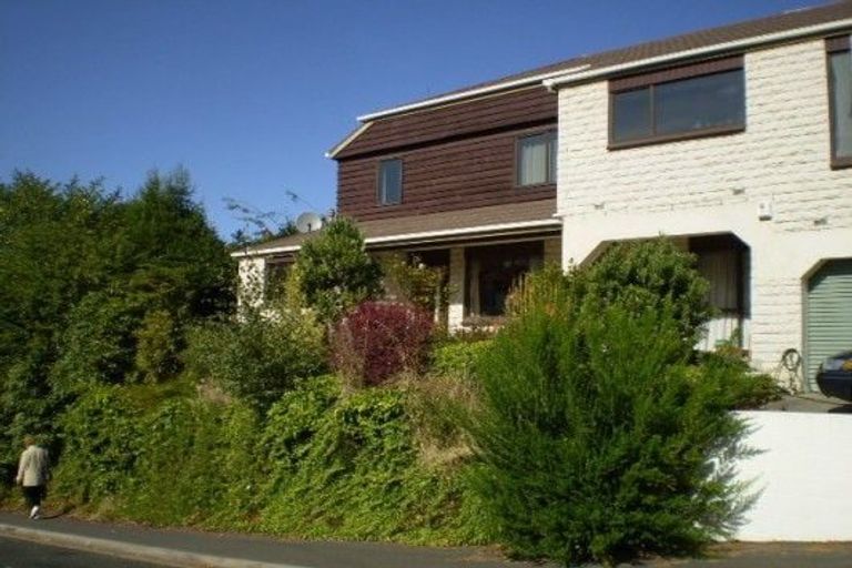 Photo of property in 36 Littlebourne Road, Roslyn, Dunedin, 9010