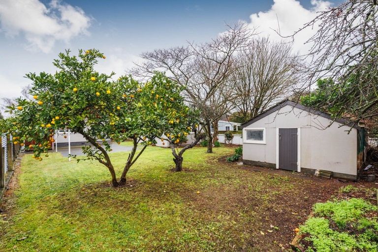 Photo of property in 17 Webb Street, Terrace End, Palmerston North, 4410