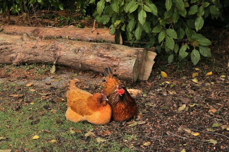 Photo of property in 51 Knutsford Road, Otautau, 9610