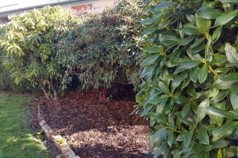 Photo of property in 55 Sussex Street, Tapanui, 9522