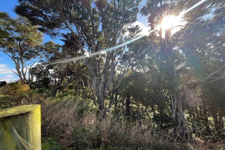 Photo of property in 5 Libertia Lane, Orewa, 0931