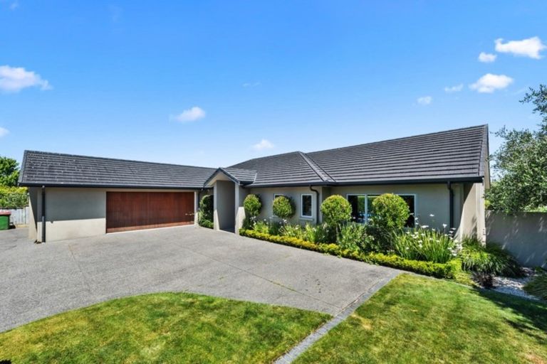 Photo of property in 55 Rhys Avenue, Huntington, Hamilton, 3210