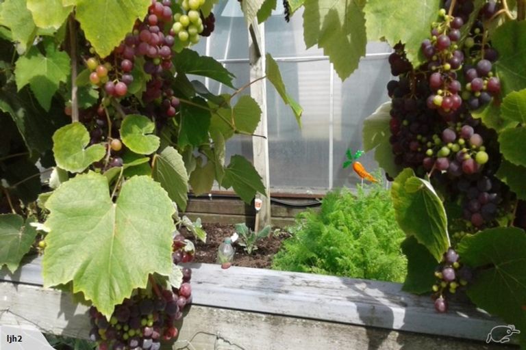 Photo of property in 1658 River Road, Broadlands, Reporoa, 3081