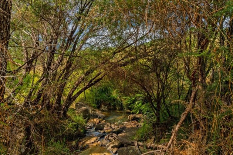 Photo of property in 235 Kaimarama Road, Kaimarama, Whitianga, 3591