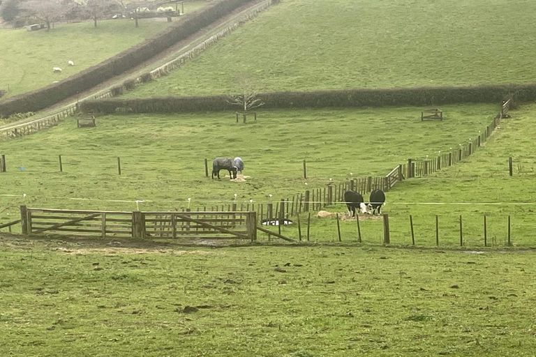 Photo of property in 734 Mangaorongo Road, Otorohanga, 3972