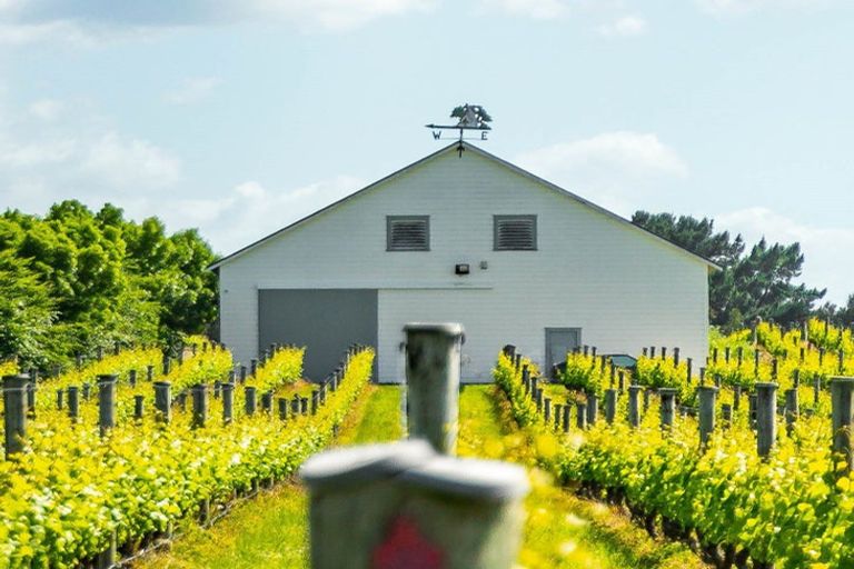 Photo of property in Redbank Estate, 224 Te Muna Road, Martinborough, 5784