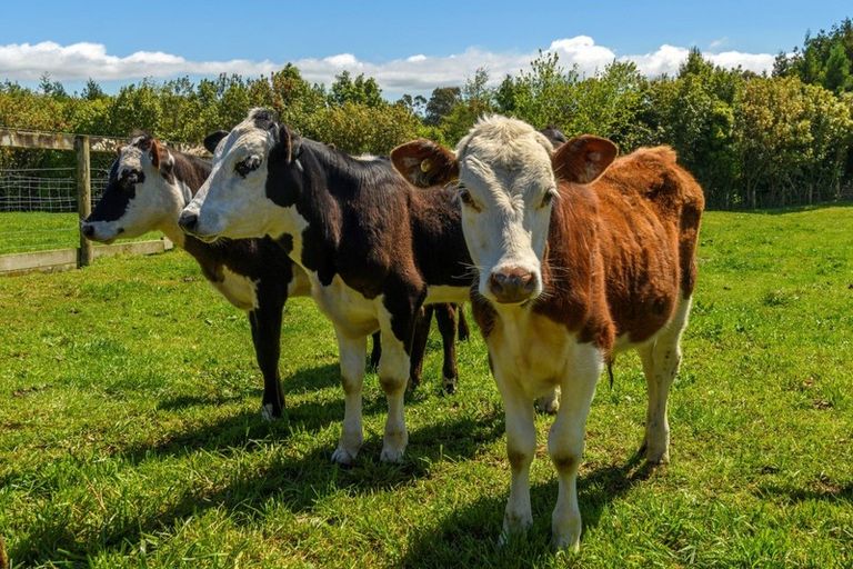 Photo of property in 30 Goodall Road, Snells Beach, 0920